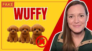 🐶 Wuffy Robot Puppy Avis — Plus Qu’un Jouet ? Découvrez La Vérité - Wuffy Avis