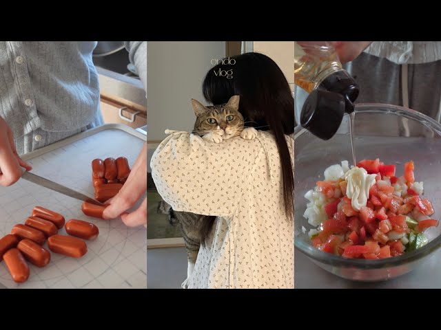양배추롤,집에서 엽떡 만들고,친구 초대해서 건강한 식사 차려주기,귀여운 식물 쇼핑한 일상