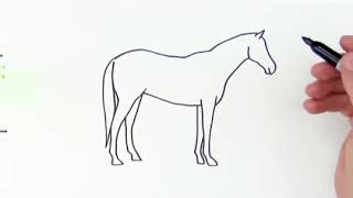 رسم حصان للمبتدئين والاطفال lبخطوات بسيطة l تعلم