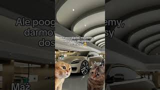 😈 śmieszne koty, #kota #cat #memes #shorts #humor #memy 😈 śmieszne koty, #kota #cat #memes #shorts #humor #memy