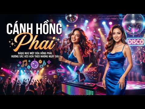 Cánh Hông Phai - Disco Giấu Mặt | Nàng Như Một Đóa Hồng Phai Hương Sắc Héo Hon Theo Những Ngày Dài