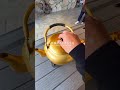 【愛知・グルメ】愛知県の皆さん！！この冬ぷりぷりの大きな牡蠣が食べ放題の牡蠣小屋が誕生しました！#PR