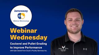 Cockerel and Pullet Grading to Improve Performance