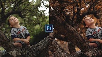 Photoshop tutorial : Autumn color effect in photoshop cc 2019