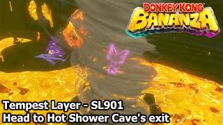 Tempest Layer - SL901 - Head to Hot Shower Cave's exit - Donkey Kong Bananza Guide