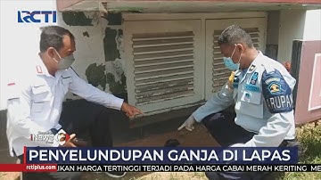 Petugas Lapas Pekalongan Temukan Ganja Terbungkus Plastik Hitam di Dekat Pintu Masuk #SIP 04/11
