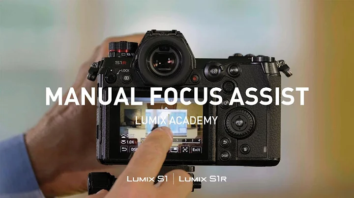 LUMIX S1, S1R Tutorial 08: Manual Focus Assist