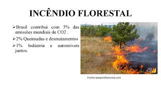 INCÊNDIO FLORESTAL