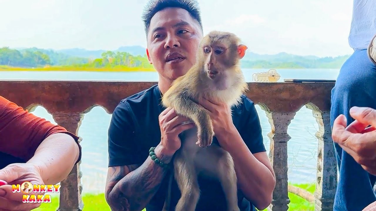 Emotional moments of dad reuniting with Monkey Kaka.