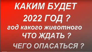 Каким будет 2022 год ? Год какого животного ? Что ждать... Чего опасаться...