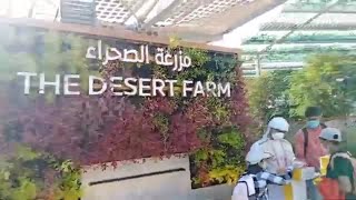 The Desert Farm Expo 2022your Ultimate Guide To Expo 2020  Best Pavilions To Visit  Tips