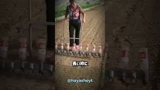 捨てるはずのものがお金に?