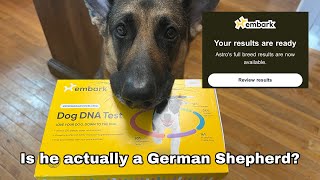 I got my dog a DNA test!! //THE RESULTSS