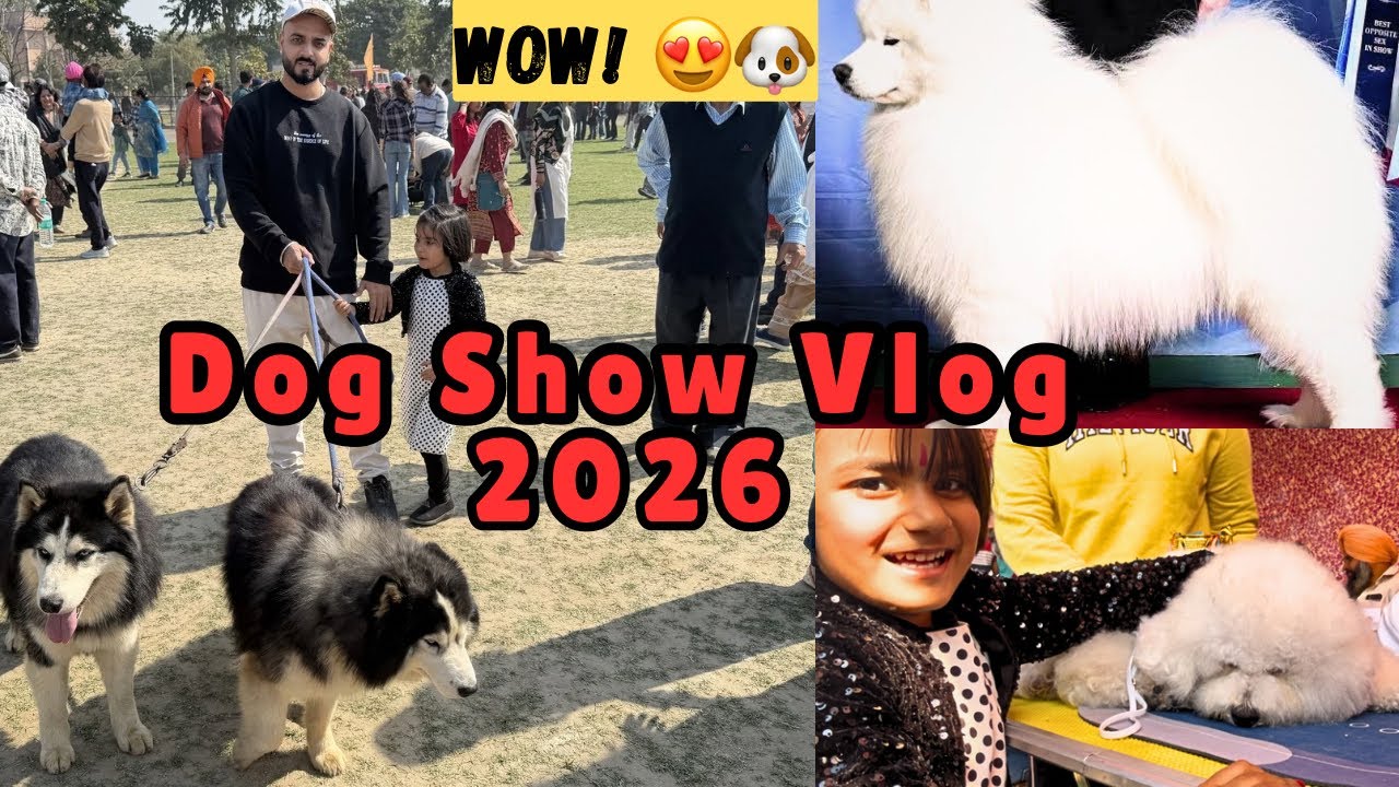 Patiala Dog Show 2026 🐶| Best Dog Show In India | Winner of Dog Show 