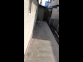 かえらない