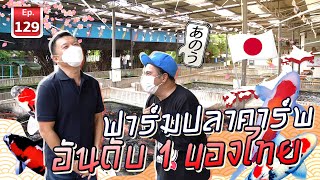 ฟาร์มปลาคาร์พอันดับ 1 ของไทย เปิดมานานกว่า 20 ปี - เพื่อนรักสัตว์เอ๊ย EP. 129