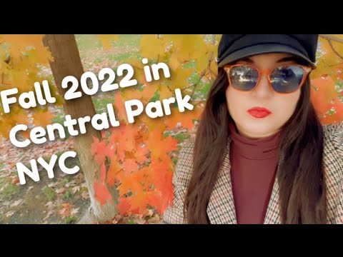 Fall Foliage🍁2022 in Central Park NYC