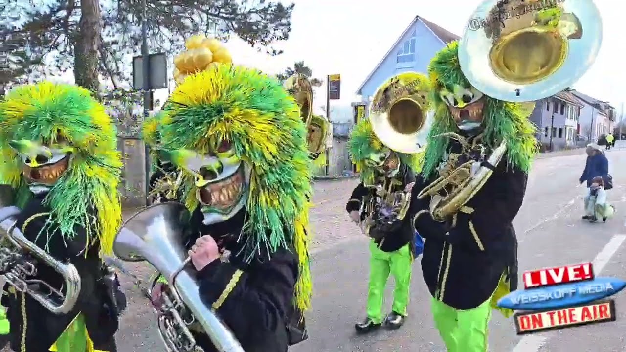 Fasnacht Oberwil 01.03.2025 Teil2