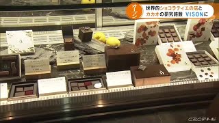 「これから第一歩」世界的ショコラティエのチョコレートショップオープン　店の隣には５０本のカカオの木も (21/07/07 17:41)
