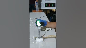 Experiência Faculdade Trabalho Camada de Valência