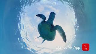 Explore Australia with the Qantas VR App screenshot 5