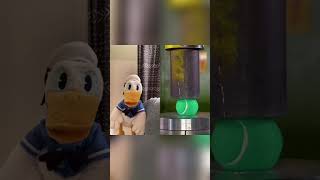 Donald Ducc Doesn’t Know How To React
