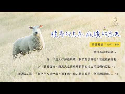 贖罪的羔羊，救贖的恩典│約翰福音十一：47-50｜20221119
