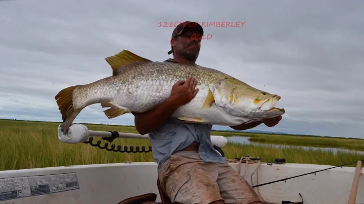 128cm KIMBERLEY BARRA SOLO