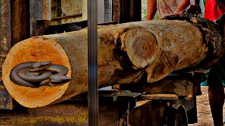 Sawing Bone-Dry Teak Wood Clean, Hard, And Unforgiving