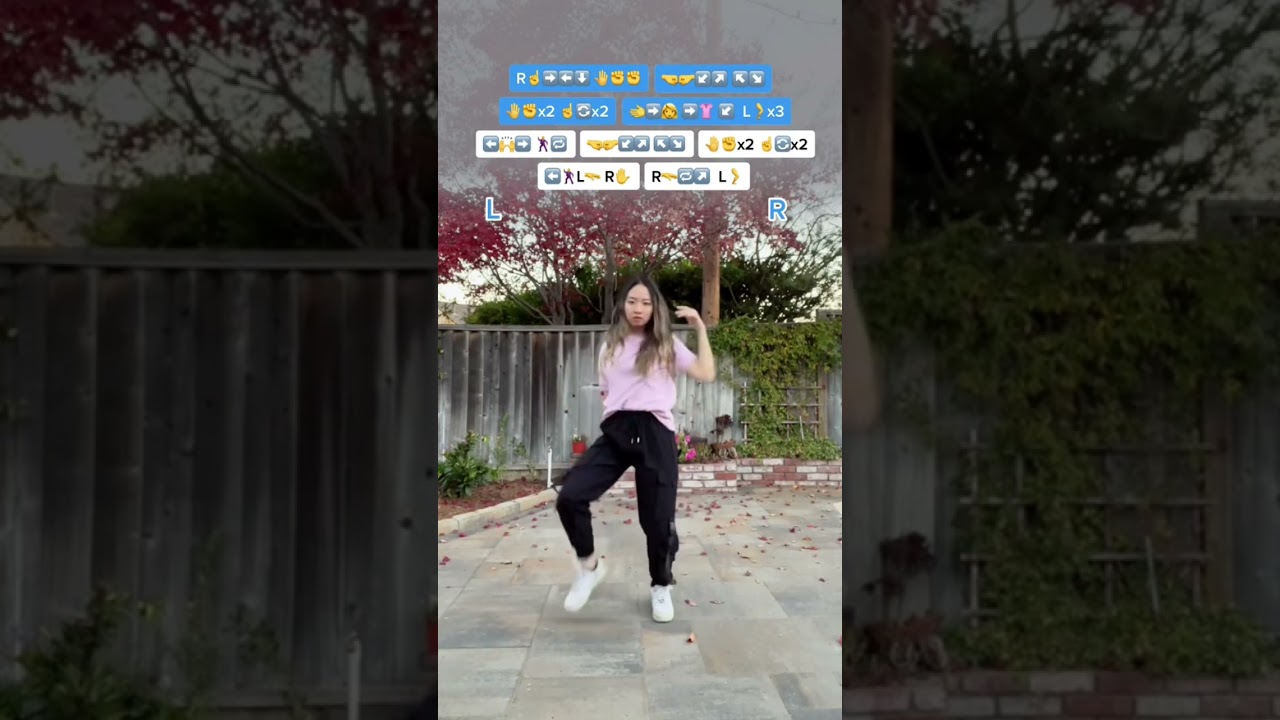 dance tutorial lessons #12 😍 repeat after me 