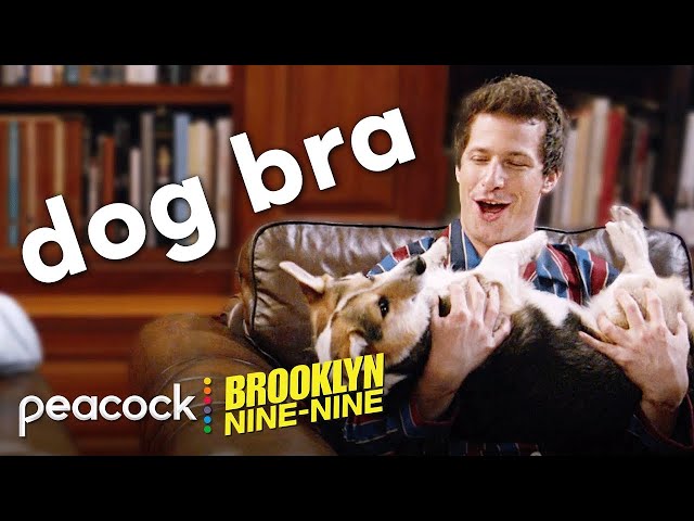 Brooklyn 99 moments we don't talk about enough | Brooklyn Nine-Nine class=