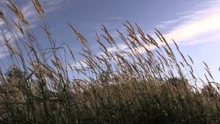 RotoGrinders Weather Updates With Kevin Roth