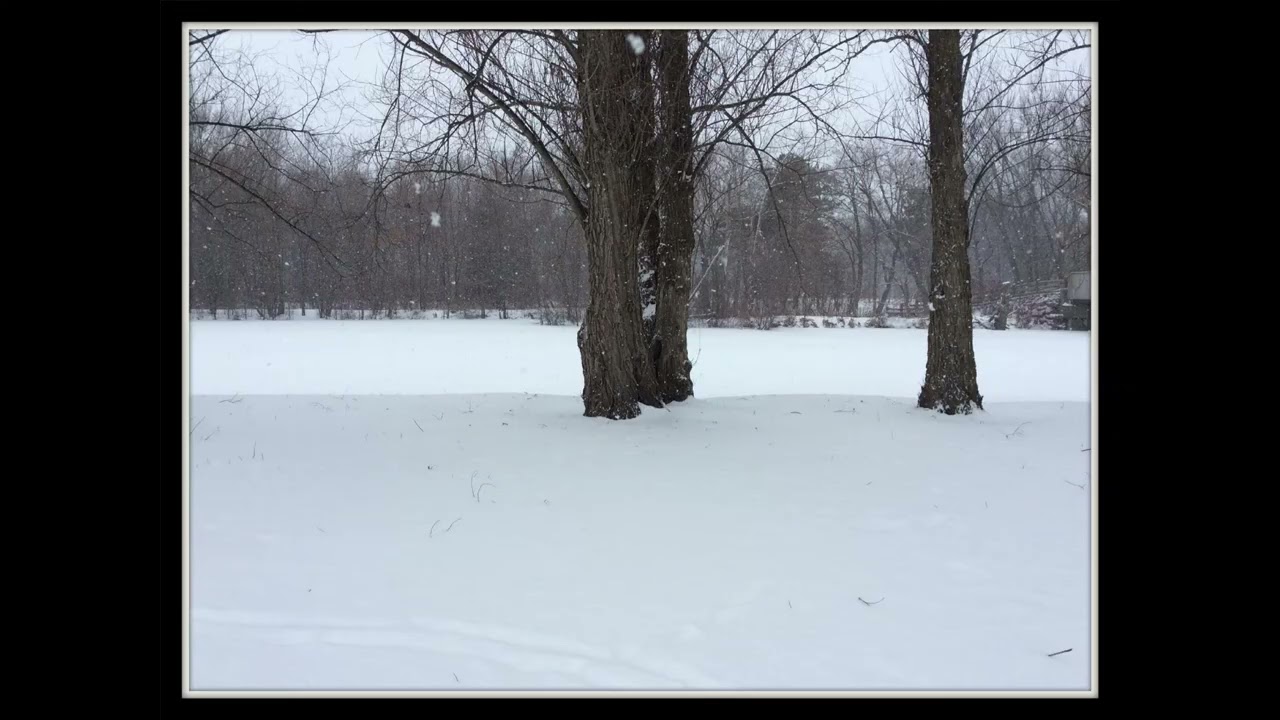 Кофе-брейк... У тебя действительно была замечательная жизнь.