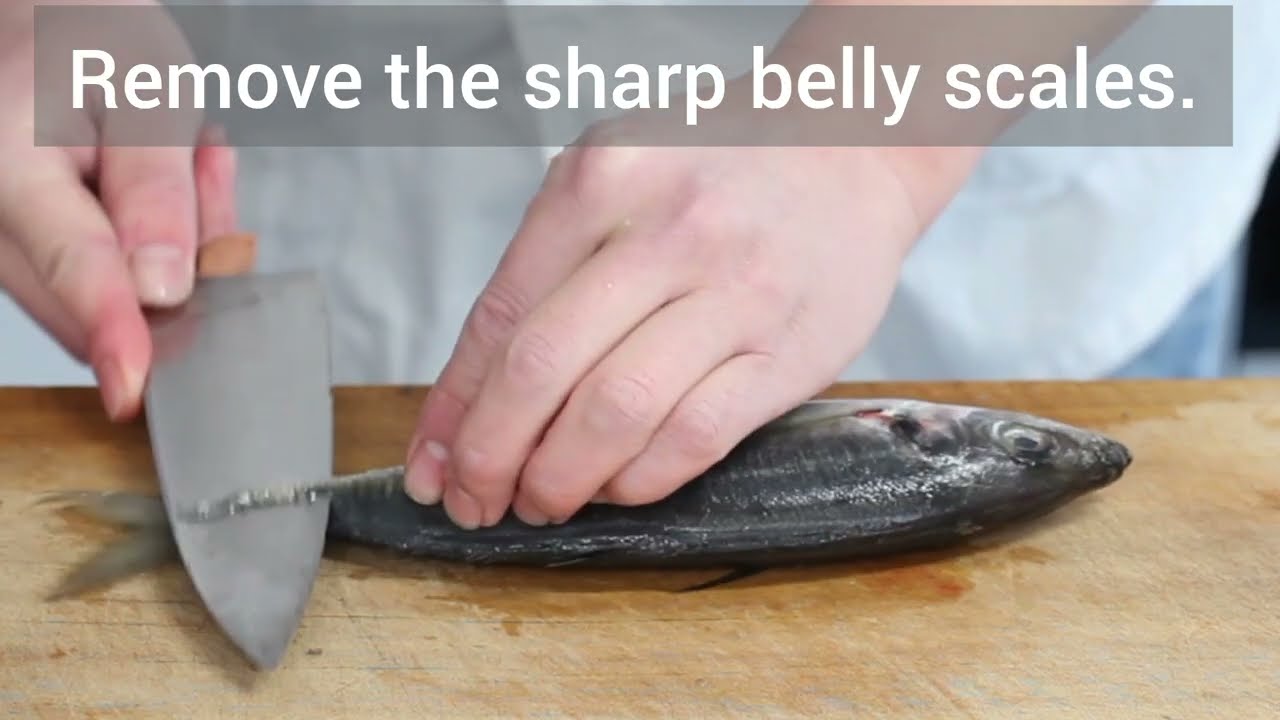 Japanese Knife Skills for Sashimi | How to Prepare Aji (Horse Mackerel)