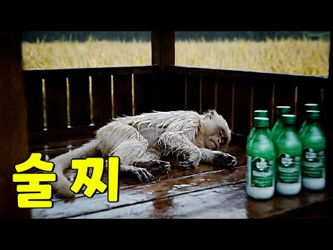 [원숭이 브이로그 탈출80일차]🙈 술 줘!｜Give me a drink!