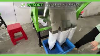 Plastic Color Sorter | Purity Creates Value