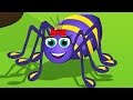 العنكبوت النونو| Itsy bitsy spider بالعربى