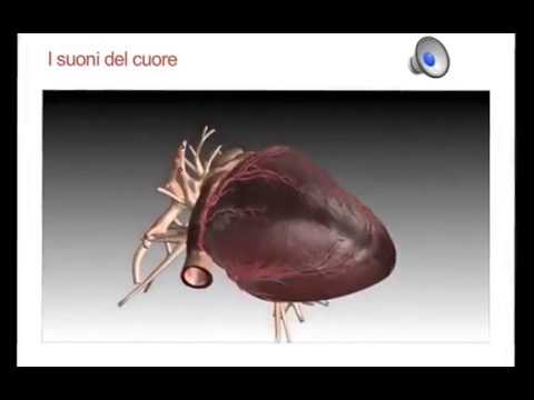 Video: Come viene calcolata la gittata cardiaca?