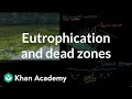 Eutrophication and dead zones | Ecology | Khan Academy