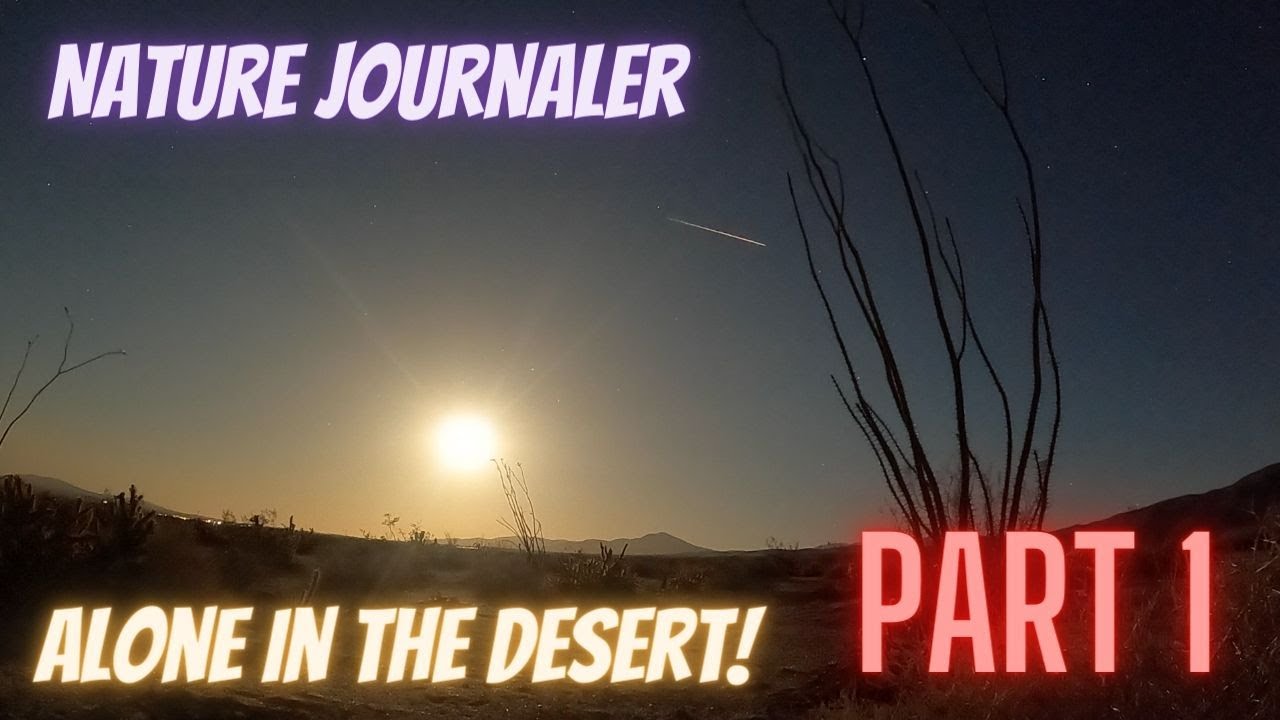 Nature Journaler in the Desert Alone: Part One