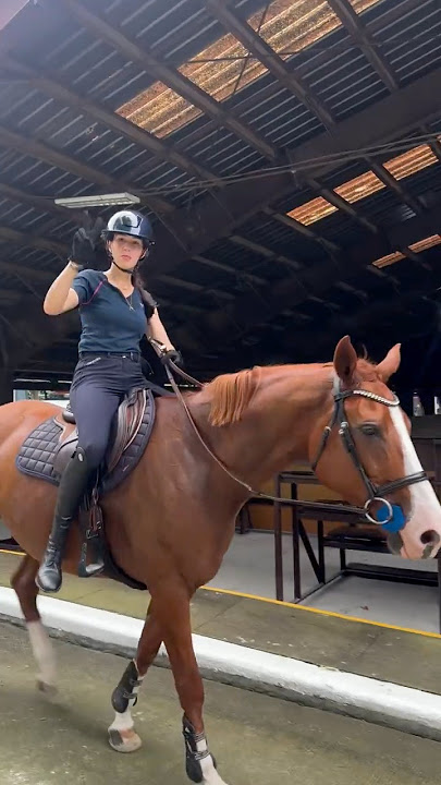 Bonjour Equestrians!