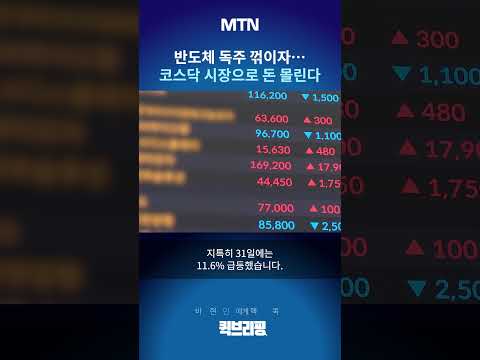 [퀵브리핑] 반도체 독주 꺾이자…코스닥 시장으로 돈 몰린다