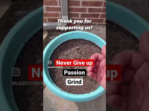 Never Give Up Thank You Pest Pestcontrol Grind Passion 