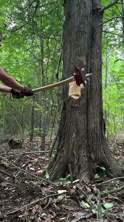 Fireman’s Axe vs Tree!🌲🪓 #fireman #firemansaxe #logger #cabin #buildingalogcabin #woodworking #axe