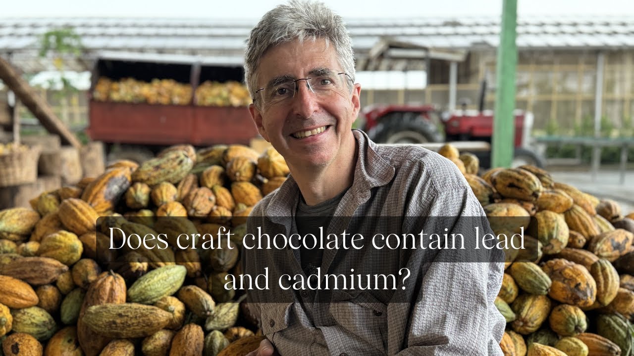 heavy-metals-in-chocolate-does-craft-chocolate-contain-cadmium-and