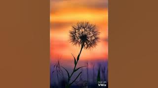 romance #sebatas angan#clm