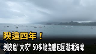 睽違4年！剝皮魚「大咬」 50多艘漁船包圍潮境海灣－民視新聞