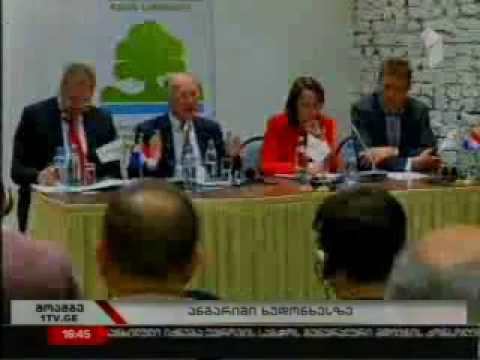 MOE: ექსპერტთა საერთაშორისო ჯგუფმა ხუდონთან დაკავშირებით საბოლოო ანგარიში წარმოადგინა