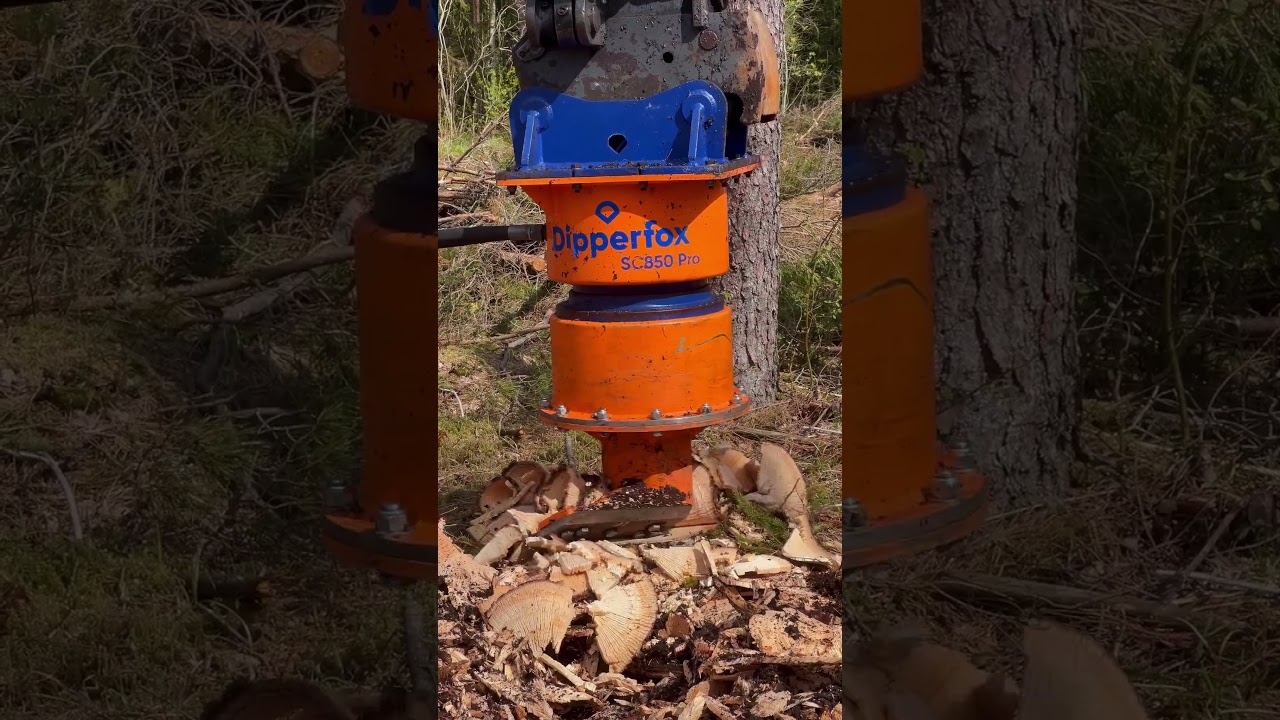 Grinding two stumps in under two minutes #stumpremoval