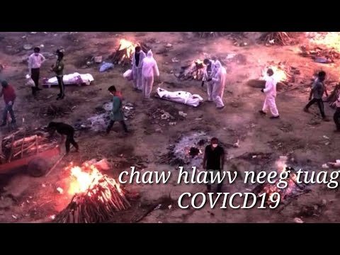 Video: Vim li cas cov neeg tsiv teb tsaws chaw ua neeg nyob hauv nroog?